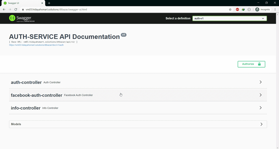API Doc Preview